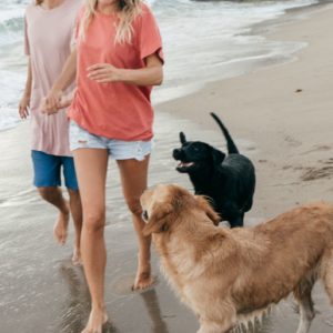 Happy Couple Walking at the beach with their dogs