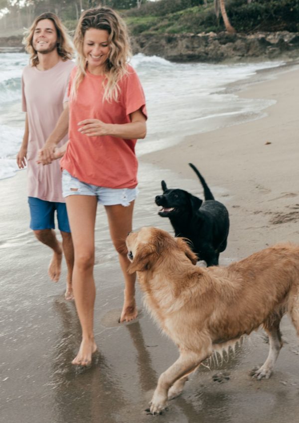 Happy Couple Walking at the beach with their dogs