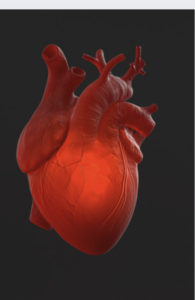 Heart symbolizing self-love and compassion